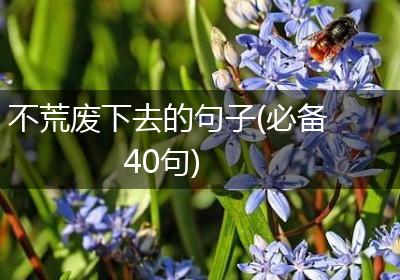 不荒废下去的句子(必备40句)