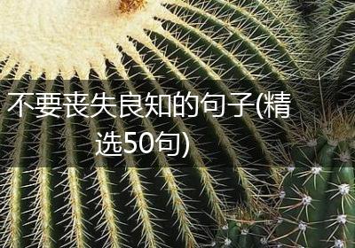 不要丧失良知的句子(精选50句)