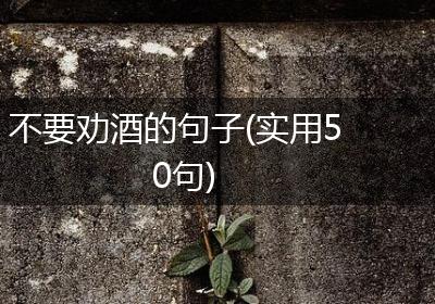 不要劝酒的句子(实用50句)