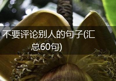 不要评论别人的句子(汇总60句)