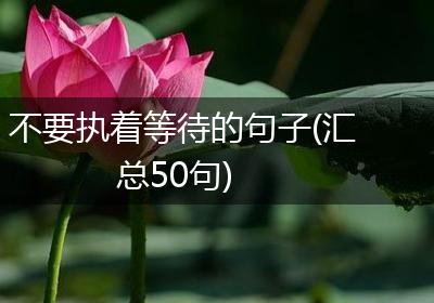 不要执着等待的句子(汇总50句)