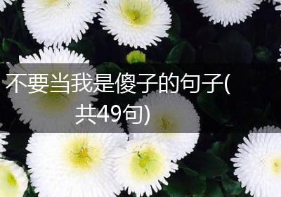 不要当我是傻子的句子(共49句)