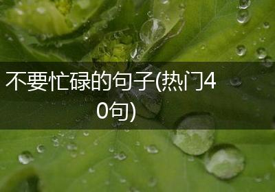 不要忙碌的句子(热门40句)