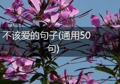 不该爱的句子(通用50句)