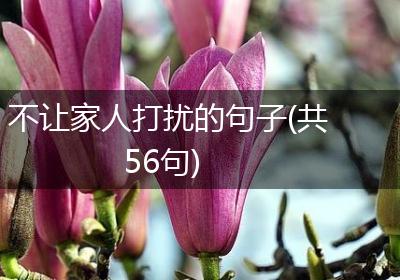 不让家人打扰的句子(共56句)