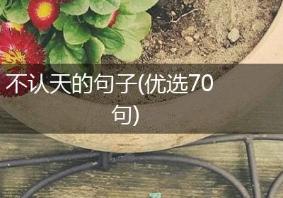 不认天的句子(优选70句)