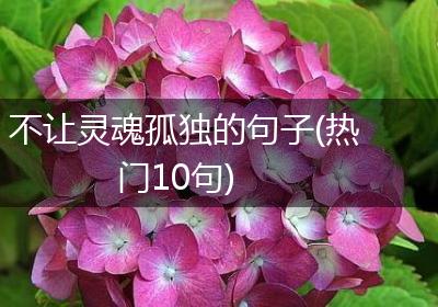 不让灵魂孤独的句子(热门10句)