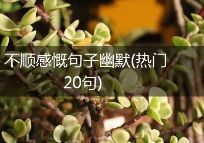 不顺感慨句子幽默(热门20句)