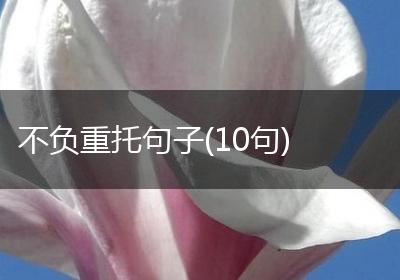 不负重托句子(10句)