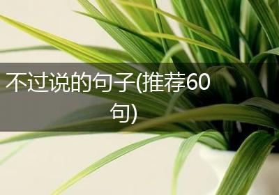 不过说的句子(推荐60句)