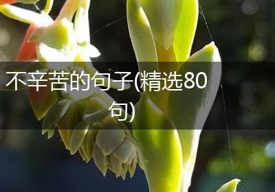不辛苦的句子(精选80句)