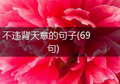 不违背天意的句子(69句)