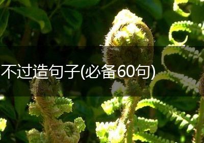 不过造句子(必备60句)