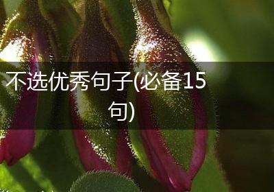 不选优秀句子(必备15句)