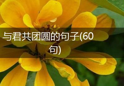 与君共团圆的句子(60句)