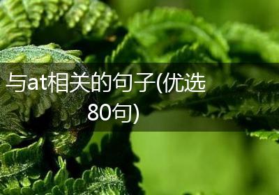 与at相关的句子(优选80句)