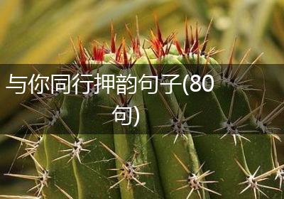 与你同行押韵句子(80句)