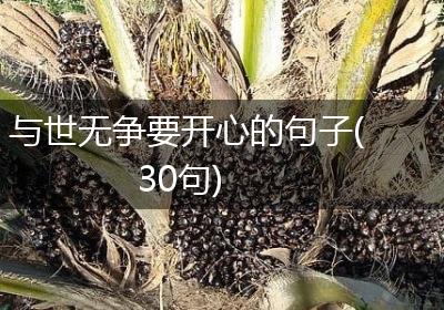 与世无争要开心的句子(30句)