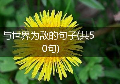 与世界为敌的句子(共50句)