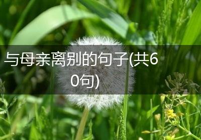 与母亲离别的句子(共60句)