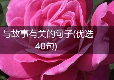与故事有关的句子(优选40句)