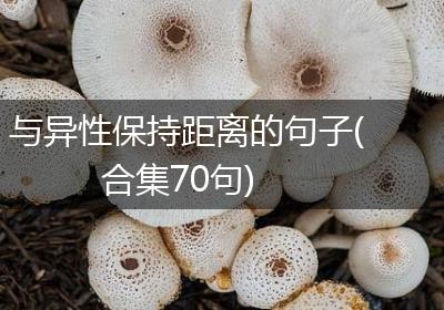 与异性保持距离的句子(合集70句)