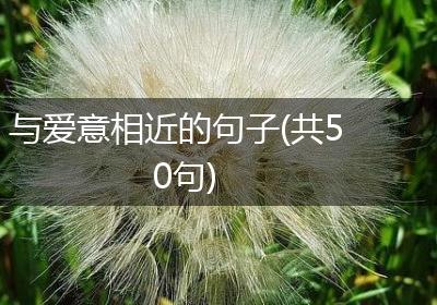 与爱意相近的句子(共50句)