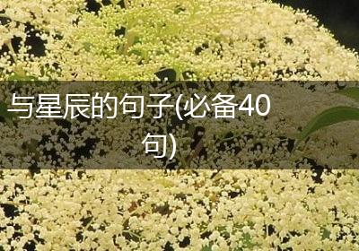 与星辰的句子(必备40句)