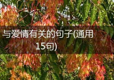 与爱情有关的句子(通用15句)