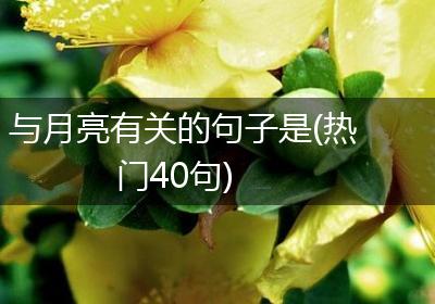 与月亮有关的句子是(热门40句)