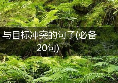 与目标冲突的句子(必备20句)