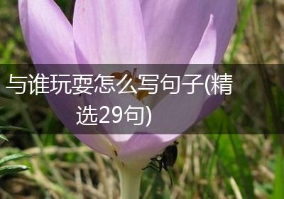 与谁玩耍怎么写句子(精选29句)