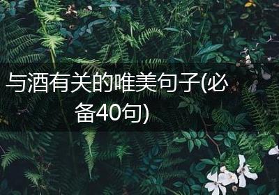 与酒有关的唯美句子(必备40句)