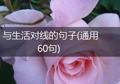 与生活对线的句子(通用60句)