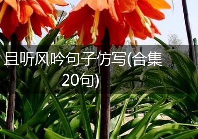 且听风吟句子仿写(合集20句)