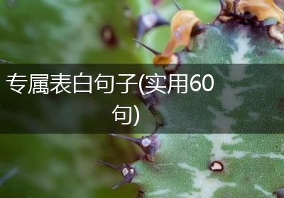 专属表白句子(实用60句)