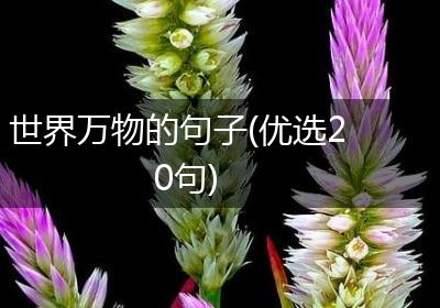 世界万物的句子(优选20句)