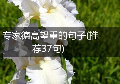 专家德高望重的句子(推荐37句)
