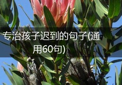 专治孩子迟到的句子(通用60句)