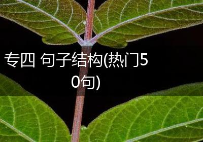 专四 句子结构(热门50句)