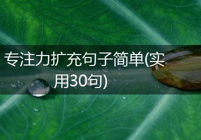 专注力扩充句子简单(实用30句)