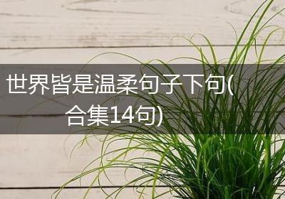 世界皆是温柔句子下句(合集14句)