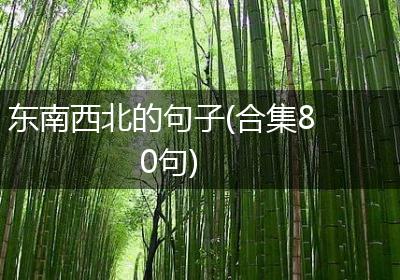 东南西北的句子(合集80句)