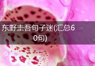 东野圭吾句子迷(汇总60句)