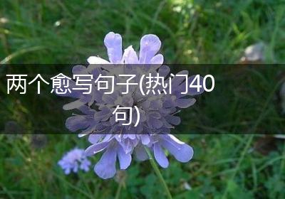 两个愈写句子(热门40句)