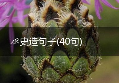 丞史造句子(40句)