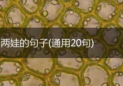 两娃的句子(通用20句)