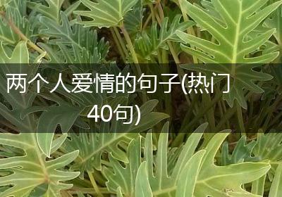 两个人爱情的句子(热门40句)