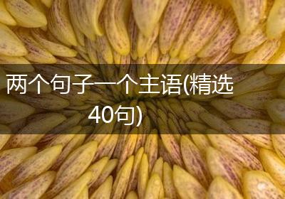 两个句子一个主语(精选40句)