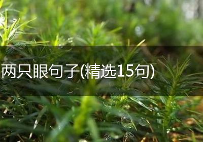 两只眼句子(精选15句)